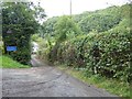 SS5616 : Narrow road to Roborough Mill by David Smith