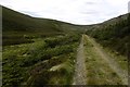  : Junipers, Glen Ernan by Richard Webb