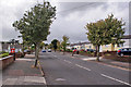 SX8862 : Preston Down Road, Paignton by Richard Dorrell