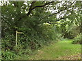 TM1285 : Bridleway to Burston Road by Geographer