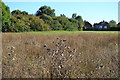 SP3779 : Trees on the west side of the original moat, Caludon Castle Park, Wyken, Coventry by Robin Stott