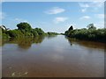 SE6132 : River Ouse, by Clog Mill Gardens, Selby by Christine Johnstone