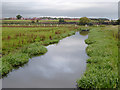 SJ9422 : The River Penk east of Stafford by Roger  D Kidd