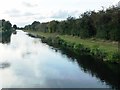 SE6311 : River Dun Navigation at Peaker Ings by Christine Johnstone