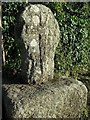 SW4627 : Medieval wayside cross, Paul (detail) by Andrew Curtis