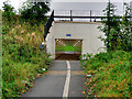 SD7910 : NCN Subway at Bury Bridge by David Dixon