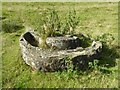 SO6854 : Drinking trough, Brockhampton Park by Philip Halling