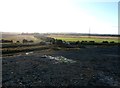 SK5997 : River Torne Footbridge seen from Spoil Heap by Jonathan Clitheroe