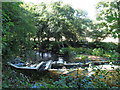 SX8288 : Weir on the Teign above Sowton Mill (2) by Stephen Craven