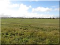 NZ4163 : Coastal arable field by Graham Robson