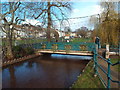 SX9676 : Bridge over Dawlish Water, Dawlish by Malc McDonald