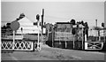 TM3877 : Level-crossing in the middle of Halesworth station, 1940 by Walter Dendy, deceased