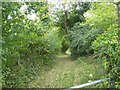 SX8273 : Field access track south of Staplehill Road by David Smith