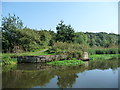 SJ6567 : Unknown structure, east bank, Weaver Navigation by Christine Johnstone