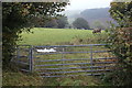 ST1893 : Roadside gate to footpath, Raven Walk by M J Roscoe