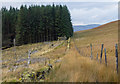 NN1011 : Plantation edge below Meall Rèidh by Trevor Littlewood