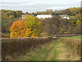 NZ3356 : Autumn colours on Wearside by Malc McDonald