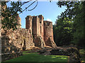 SO5720 : Goodrich Castle by Mike Dodman