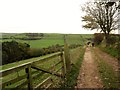 NZ9303 : Bridleway  to  Ramsdale by Martin Dawes