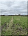 SJ8048 : Footpath off Scot Hay Road towards Bateswood by Jonathan Hutchins