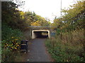 NZ3055 : Pedestrian path and underpass, Washington by Malc McDonald