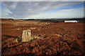 NZ6613 : Standing Stone by Mick Garratt