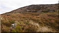 NN6630 : Screes, Meall Daimh by Richard Webb