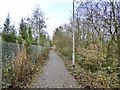 SJ8450 : Bradwell Woods Greenway by Jonathan Hutchins