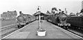 NZ0517 : Barnard Castle station, with trains 1953 by Walter Dendy, deceased