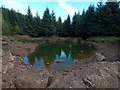 NS3482 : New pool beside a forestry track by Lairich Rig