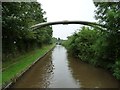 SJ6152 : Pipe bridge across the Llangollen Canal, Swanley by Christine Johnstone