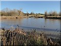 SO8845 : Pool in Croome Park by Philip Halling