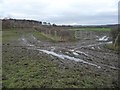 SE3703 : Muddy field entrance, near Swaithe Bridge by Christine Johnstone