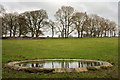 SK1572 : Field with dew pond and trees by Trevor Littlewood