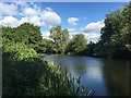 SP2965 : River Avon to the rear of Pickard Street, southeast Warwick by Robin Stott