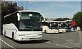 SX9164 : Coaches, Torquay coach station by Derek Harper