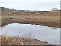 NY9265 : Bank erosion on the left bank of the Tyne by Oliver Dixon