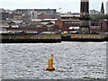 SJ3292 : Mersey Estuary, Special Marker by David Dixon