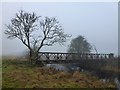 TF3902 : Bailey Bridge & Morton's Leam - The Nene Washes by Richard Humphrey