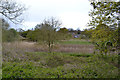 SP3576 : River Sowe floodplain and wetland between Whitley and Willenhall, southeast Coventry by Robin Stott