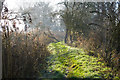 TM4492 : Worlingham Wall on a frosty day by Roger Jones