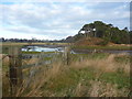 NT6279 : East Lothian Landscape : Gate And Fence On Buist's Embankment, Tyninghame by Richard West