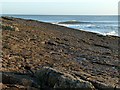 NU2328 : Beadnell Point by Alan Murray-Rust