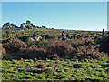 SX7378 : Hunt on Dartmoor by Chris Allen