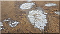 TQ2896 : Icy Puddle in Car Park, Trent Park, Cockfosters by Christine Matthews