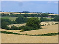 SU7128 : Hampshire Downland by Colin Smith