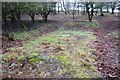 SJ9718 : Brocton Camp - Hut bases in the Royal Engineers Compound by John M