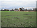 SE6733 : View towards the former windmill at South Duffield by Jonathan Thacker