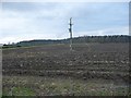 SE4548 : Recently ploughed field, Hall Park by Christine Johnstone