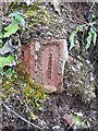 NY4154 : A Kingmoor brick by Rose and Trev Clough